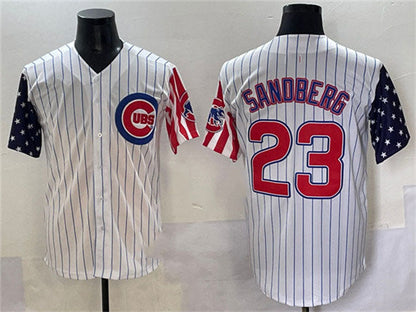 Chicago Cubs #23 Ryne Sandberg White Pinstripe 2025 Independence Day Vapor Premier Limited Stitched Baseball Jersey